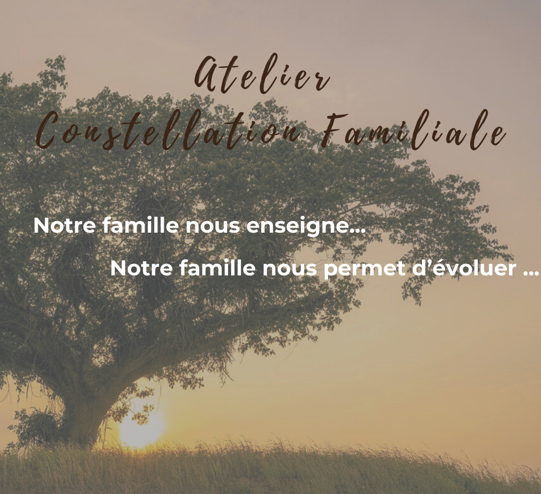 Atelier constellation familiale le 8 novembre